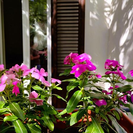 Domus Vetriera Apartment Palermo Bagian luar foto