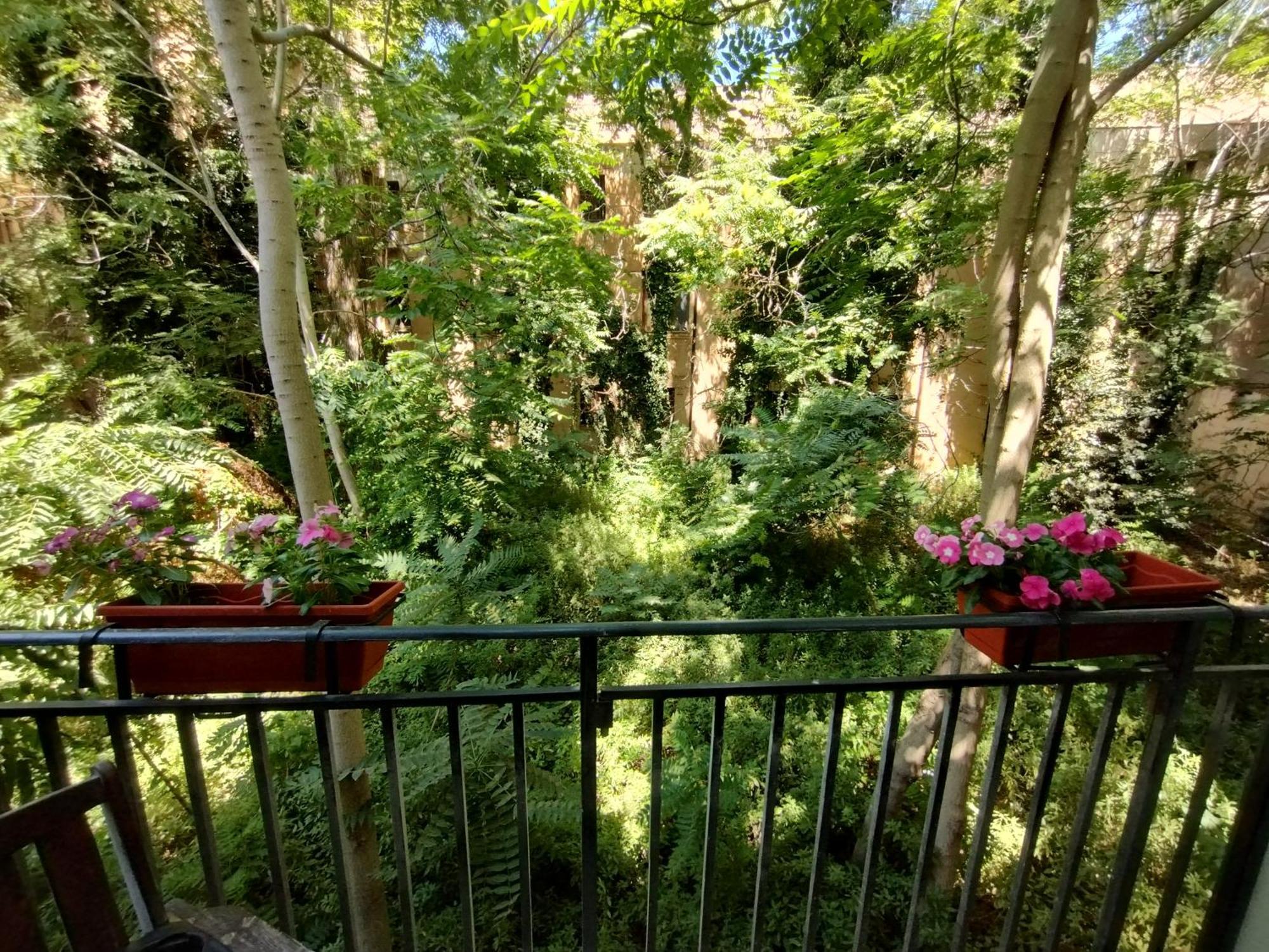 Domus Vetriera Apartment Palermo Bagian luar foto